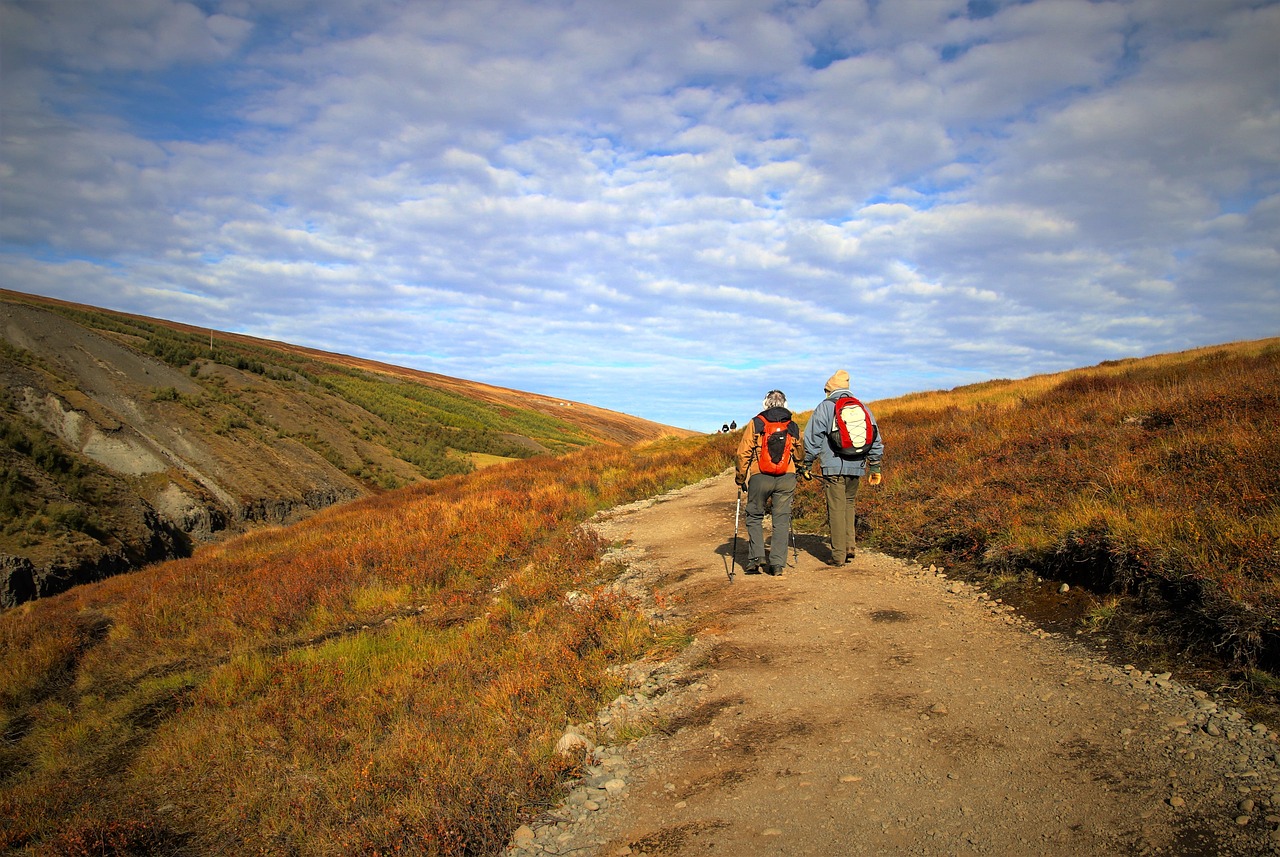 iceland, mountains, nordic walking