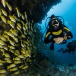 two people scuba diving underwater